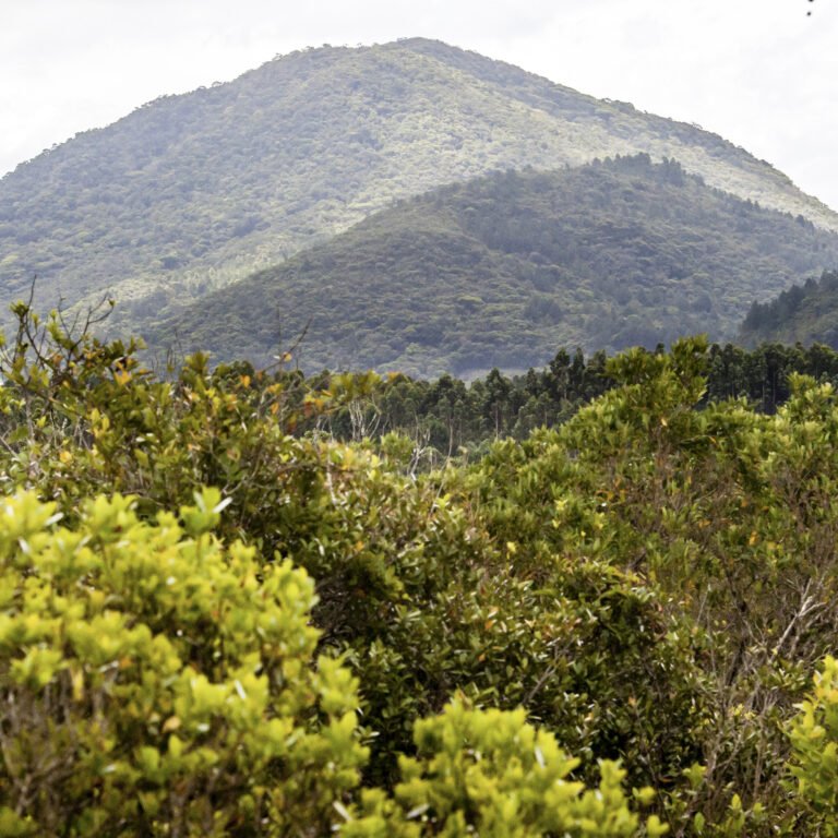 Parque Estadual da Serra do Tabuleiro